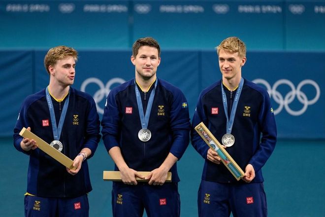 奥地利乒乓球队翻盘瑞典乒乓球队，马龙关键制胜的简单介绍