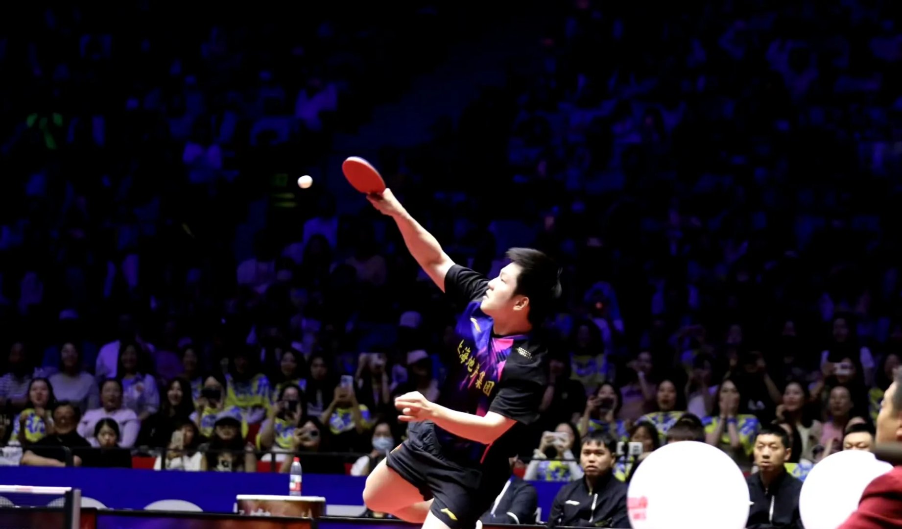 LOL英雄联盟直播-包含波兰乒乓球队鏖战日本乒乓球队，樊振东统治全场的词条