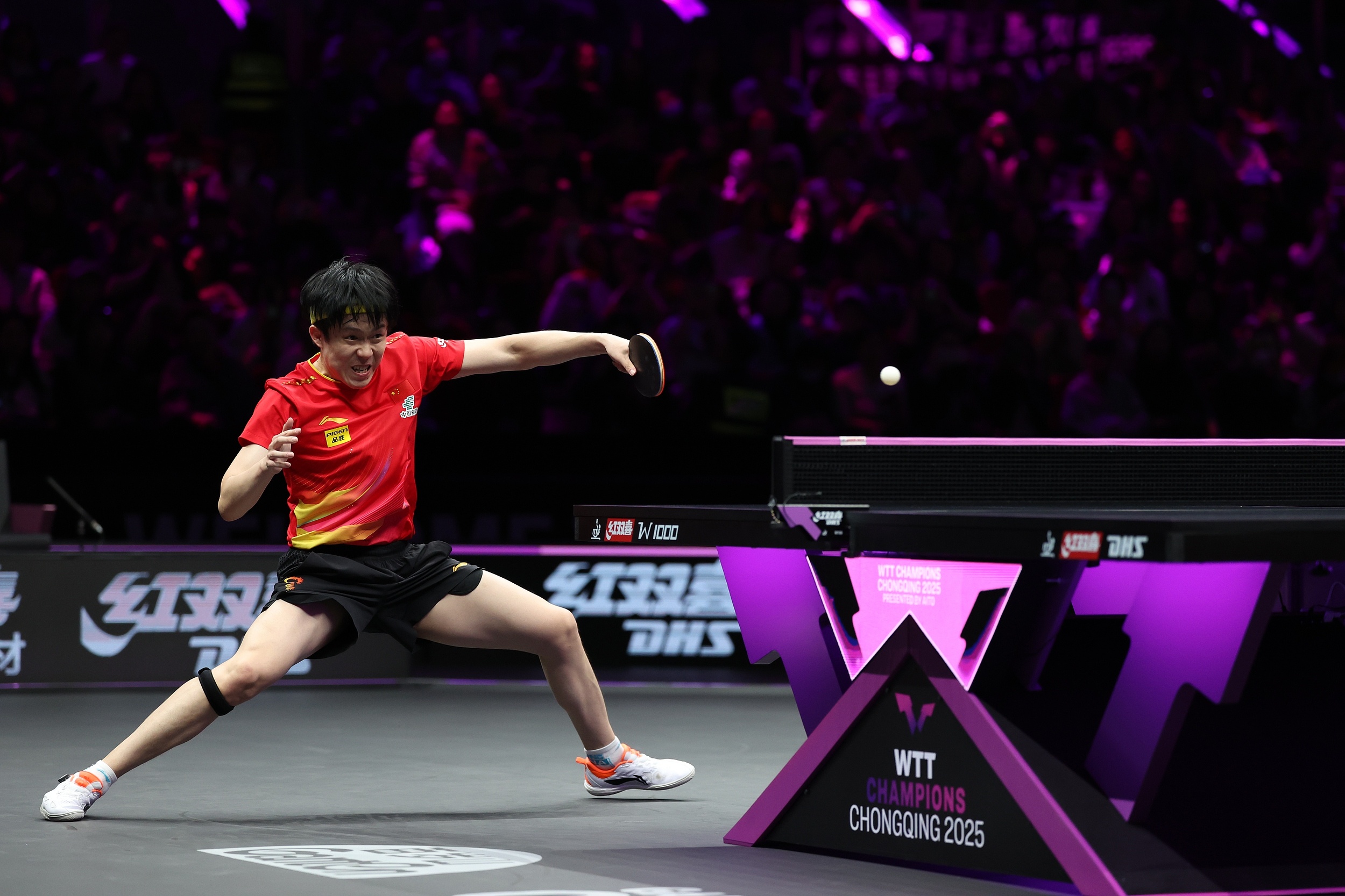 德国队逆转日本队，张本智和惊艳四座的简单介绍